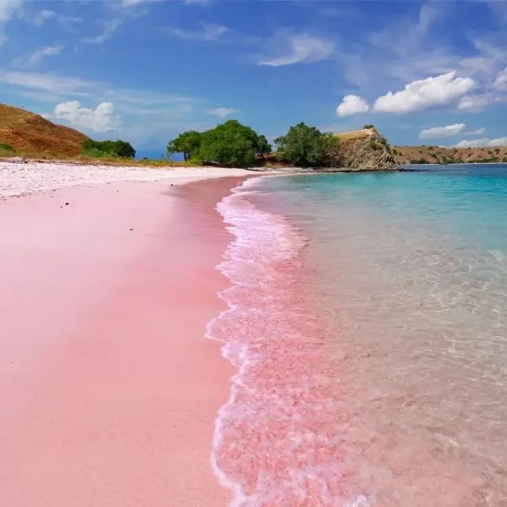 Komodo National Park