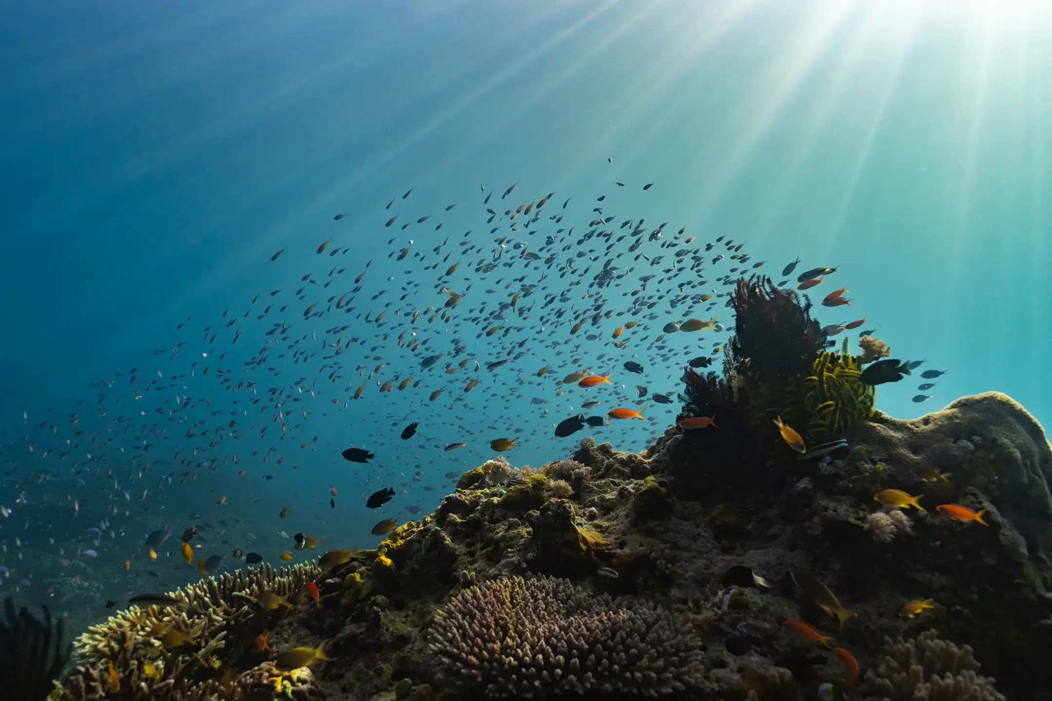 Komodo National Park